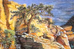 aura-city-sedona-靈氣之城